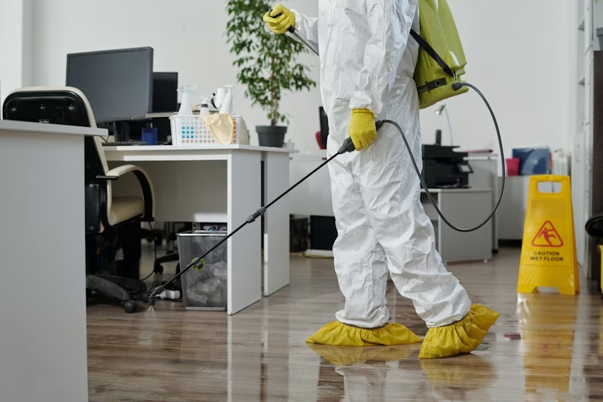 Space insect extermination