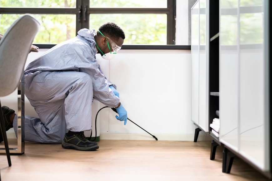 Commercial space insect extermination